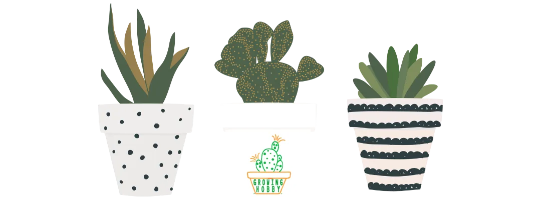 Growing Hobby