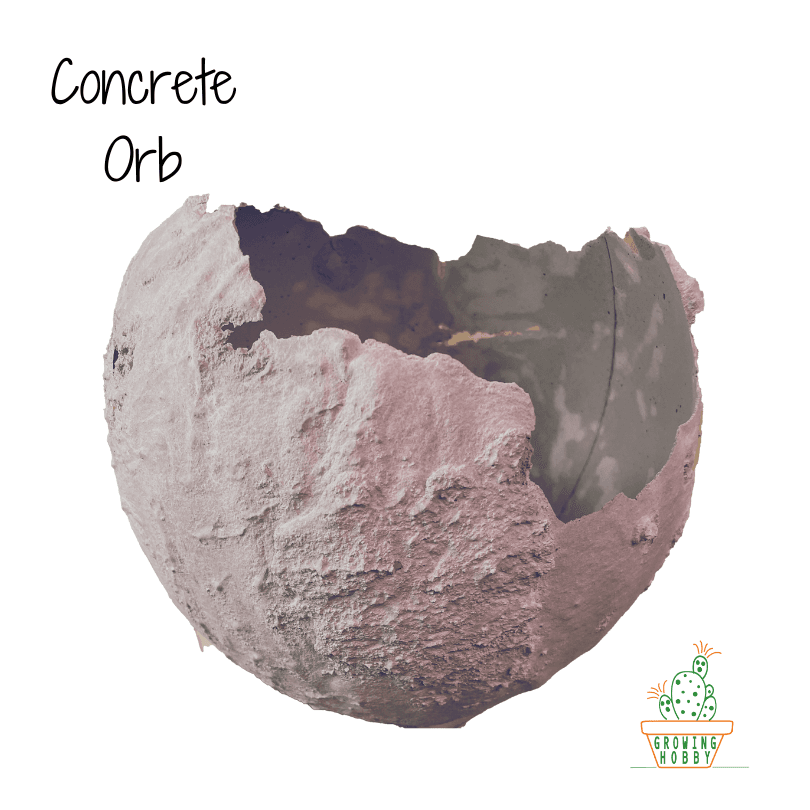 Concrete Orb Workshop 9/19/23 tillandsia air plant