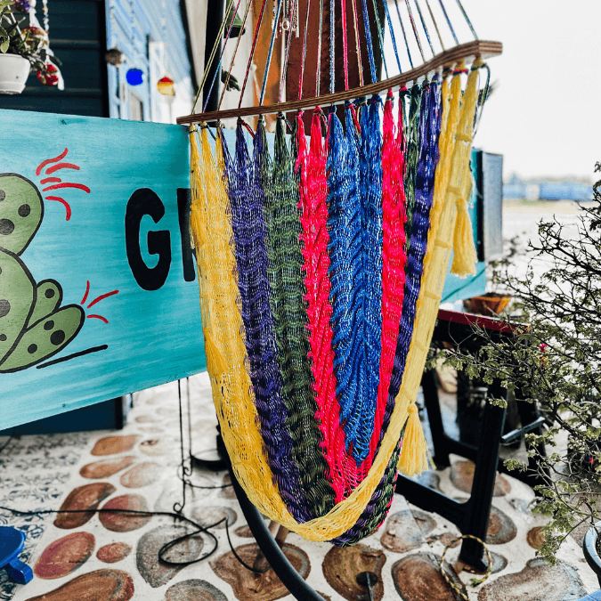 tillandsia air plant