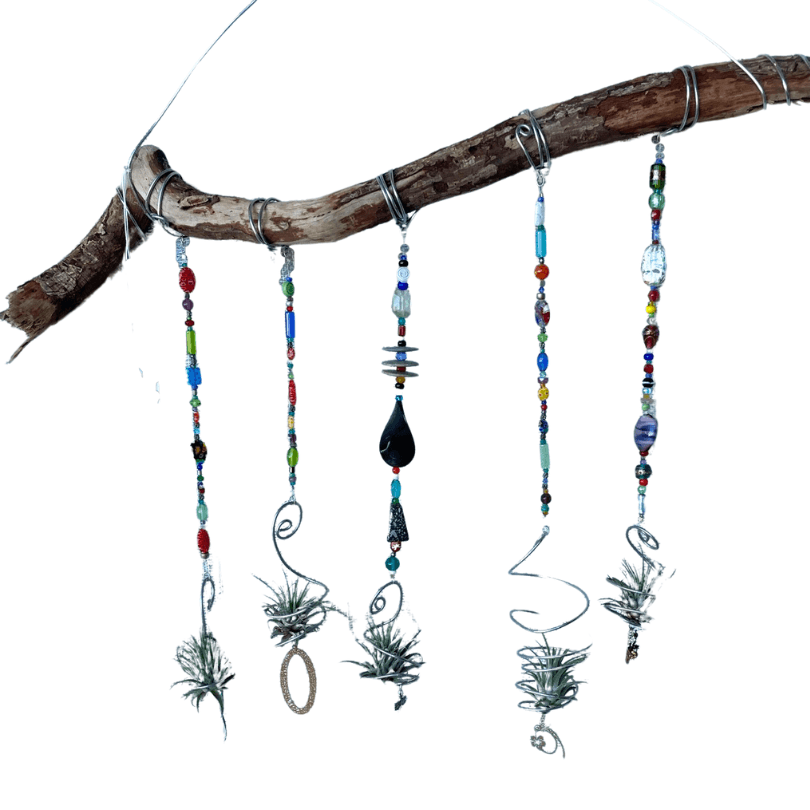 airplant suncatcher