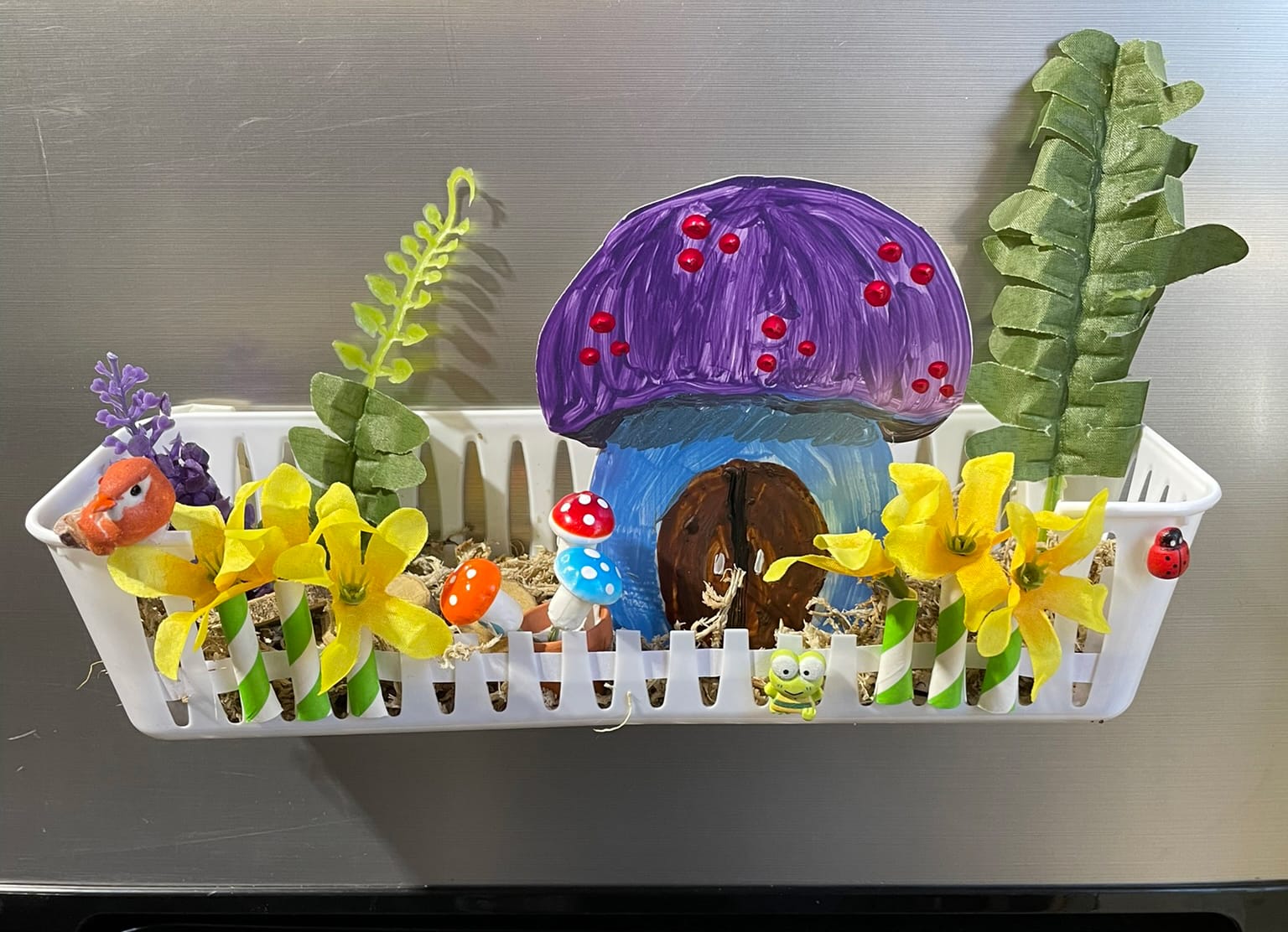 tillandsia air plant